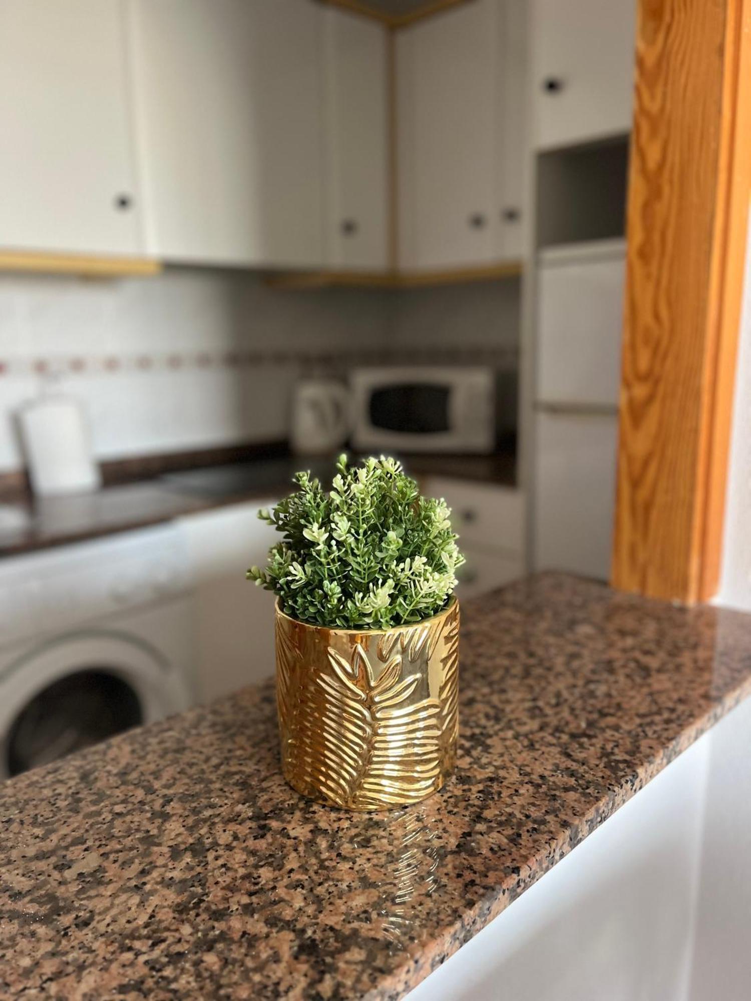 Sea Viev La Mata Apartman Torrevieja Kültér fotó